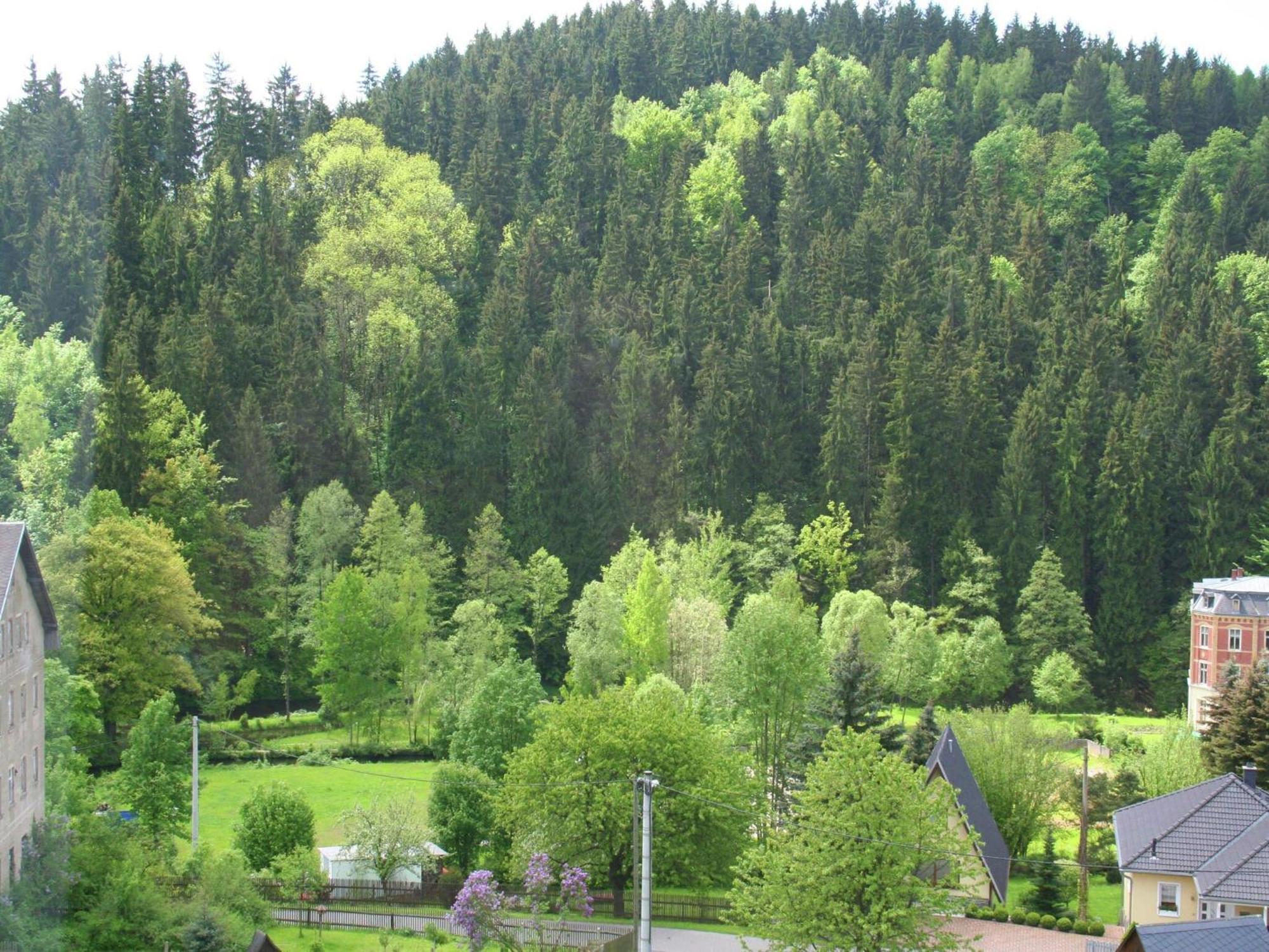 Alluring Villa In Grunhainichen Borstendorf With Garden Leubsdorf Экстерьер фото