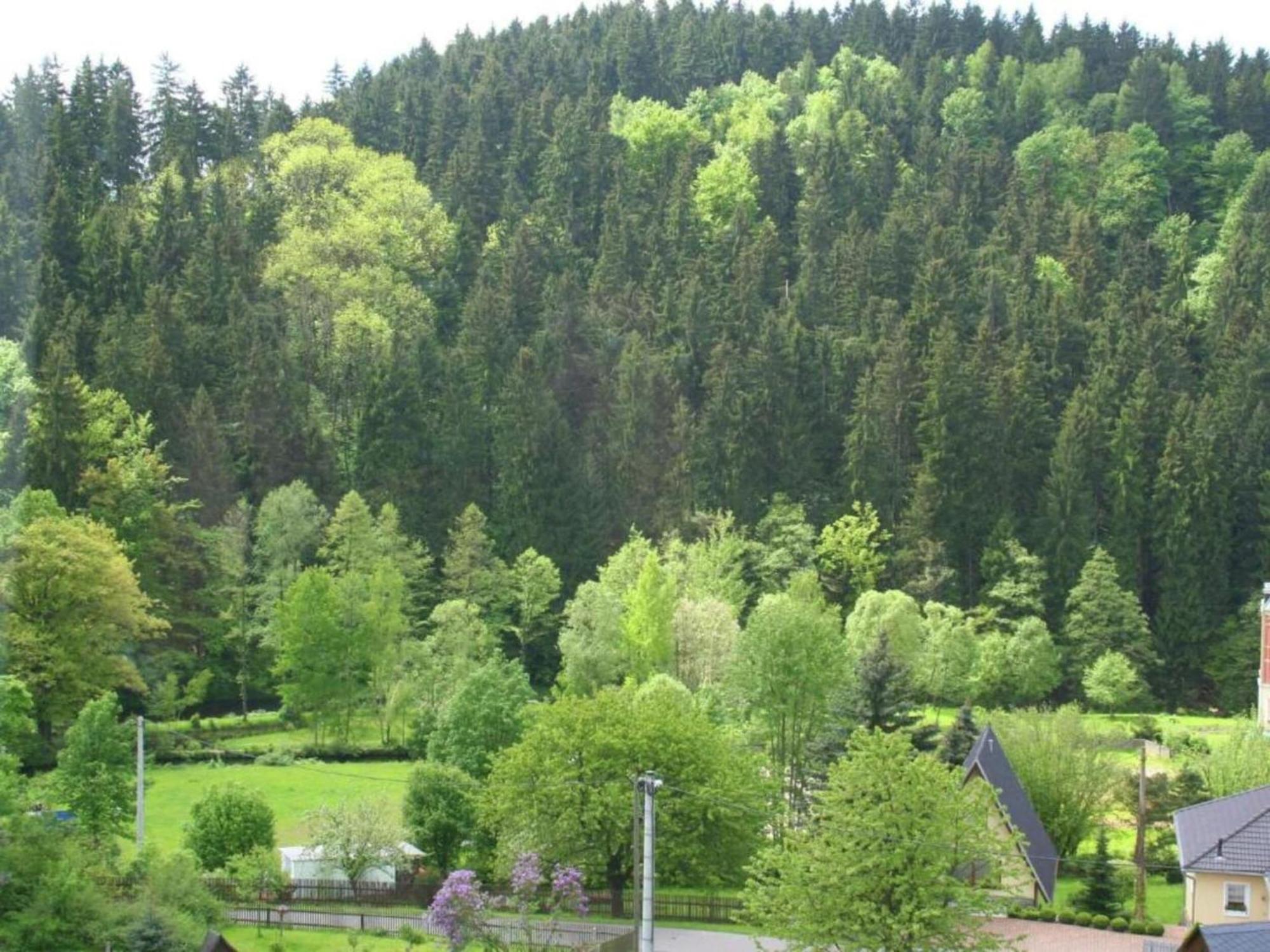 Alluring Villa In Grunhainichen Borstendorf With Garden Leubsdorf Экстерьер фото